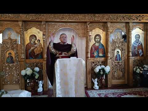 Fr. Nicolae Pavel - A fruitful life or a wasted life
