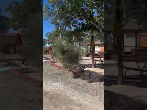 entrance to park can see cabins