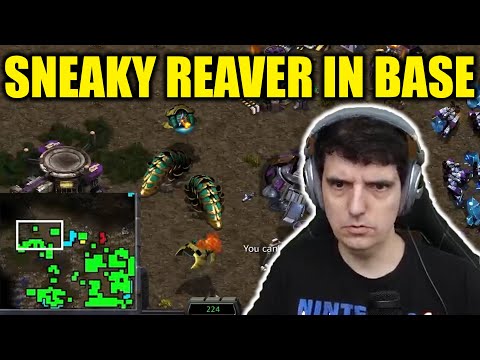 SHUTTLES AND REAVES SNEAK IN ARTY BASE - Artosis Clips