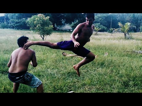 Cão de Briga VERSÃO ACRE ( Fight Scene )