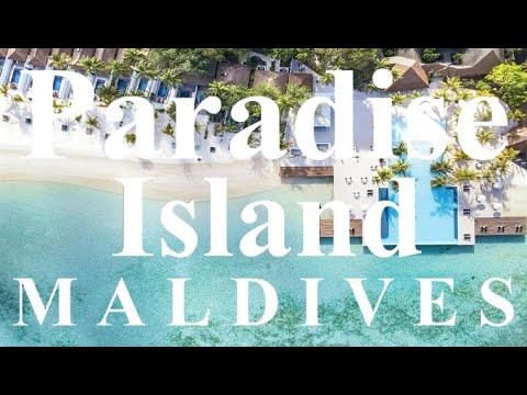 Hotel Paradise Island Resort Maldives #2022 #hotel #holiday #maldives #4k #island #beach