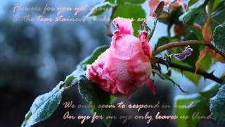 Matt Elliott - What&#39;s Wrong