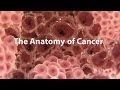Understanding Cancer: Causes, Treatments, and Integrative Care Approaches