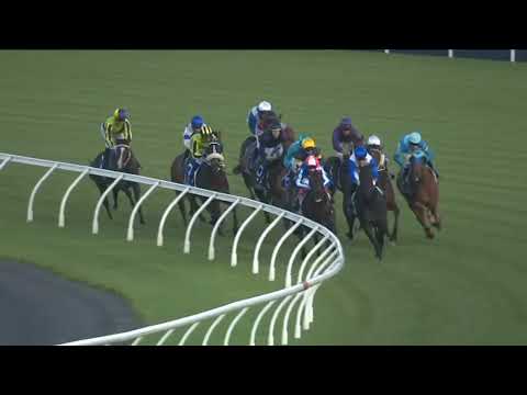 Sistema Railway Stakes 2026 - JIGSAW (3YO+ SWP G1) Group 1 Ellerslie NZ 24 January