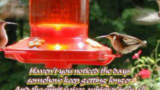 Hummingbird - Seals &amp; Crofts