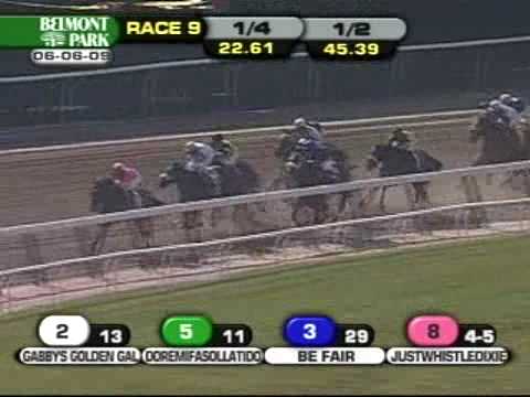 2009 Acorn Stakes