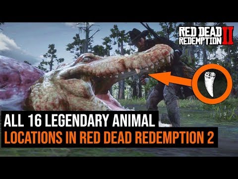 ALL 16 Legendary Animal Locations in Red Dead Redemption 2