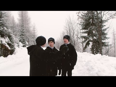 St. Florianer Sängerknaben: Personent Hodie