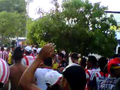 la banda del tiburon en cartagena