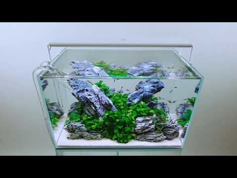 Serene Rock, An Aquascape for Everyone