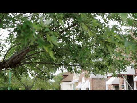 HG Terro - They Told Me ( Official Music Video) | Shot By _TroubleProductions