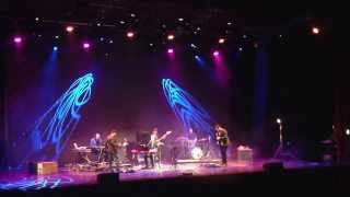 Twin Peaks - Iván Ferreiro - Pazo da Cultura de Pontevedra 16-11-13