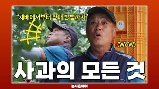 (사과 농가라면 주목!) 사과 재배에서부터 판매 방법까지 모든 것을 알려드립니다!