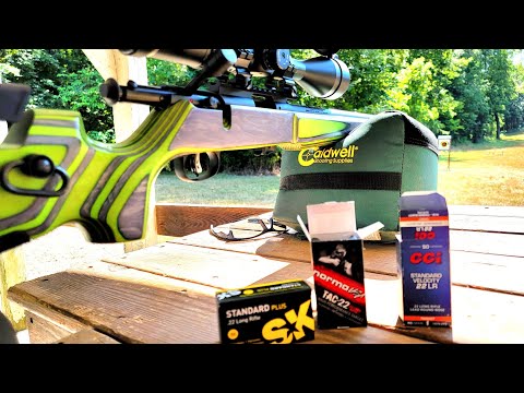 savage mk2 boyds at one 100 yard ammo test