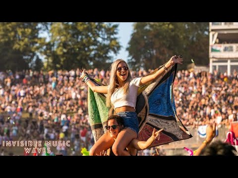 Avicii vs Alesso MegaMix Continous Mix .