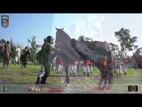 Desde La Raiz - Jaime Flores - (BICENTENARIO DE LA CONSUMACIÓN DE LA INDEPENDENCIA EN MÉXICO)