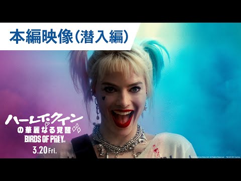 映画『ハーレイ・クインの華麗なる覚醒 BIRDS OF PREY』本編映像（潜入編） 2020年3月20日（金）公開