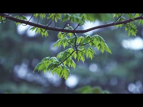 이세라 - 옛사랑 (Old Love)