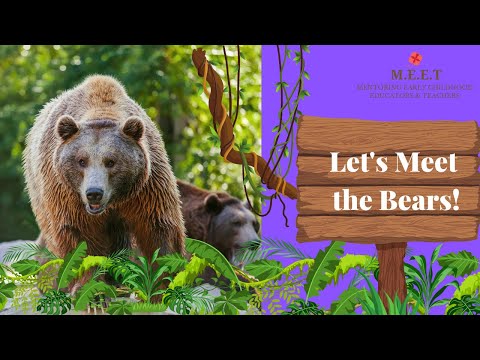 Lets meet the Bears! preschool learning videos for kids-wild animals (types of bears)
