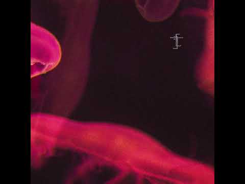 DICA - Back in the Days [OBSCR076]