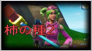 Fortnite*柿の種2