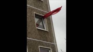 Nikki Sudden - The only boy in heaven