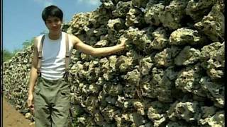 王力宏 Leehom Wang - 認真 (官方版MV)
