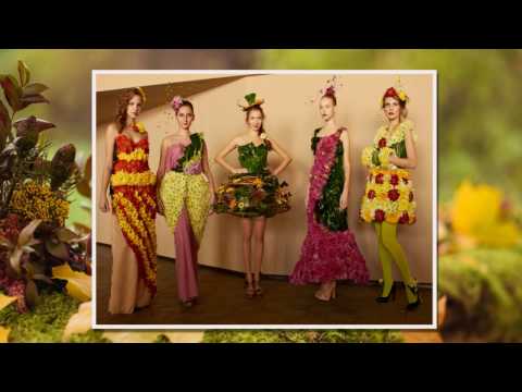 Mārtiņrozes sveikas - Leijerkastnieki.