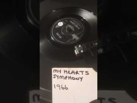 Gary Lewis & The Playboys - My Hearts Symphony From 1966 ( Vinyl 45 )