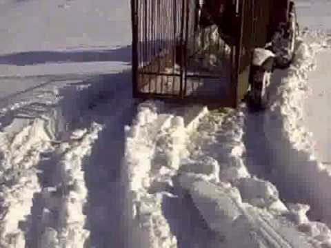 Antek szaleje;)(Rudzienice).avi