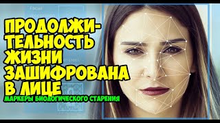 Стоит упомянуть про один интересный факт: оказывается, что в чертах человеческого лица зашифрована продолжительность