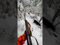 Lov Divlje Svinje Hunting Wildboar Snow
