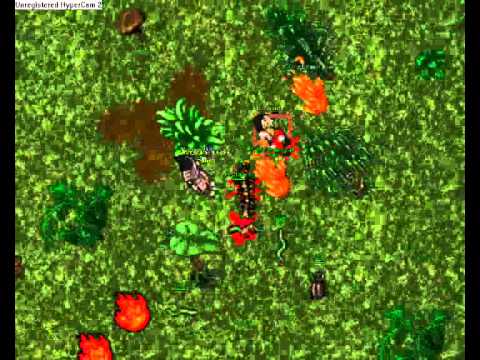 [Danubia] Shooting Down a Botter - 82 EK