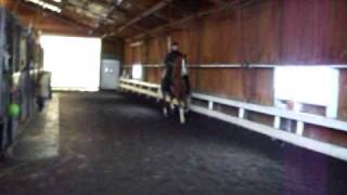 Champagne Lifestyle "Styla" @ 7 Wonders Stables