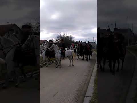 Pokladno jahanje Donji Andrijevci 2022