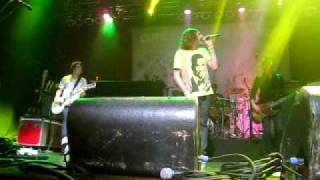 Cute Is What We Aim For- Hollywood