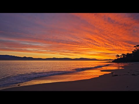 Full Non-Looped Sunset Afterglow on the Beach with Calm Ocean Waves | Relaxing ASMR | 1H in 4K