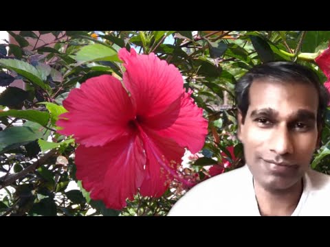 Tamil Murli Revision 13 October 2020 - BK Saravana Kumar