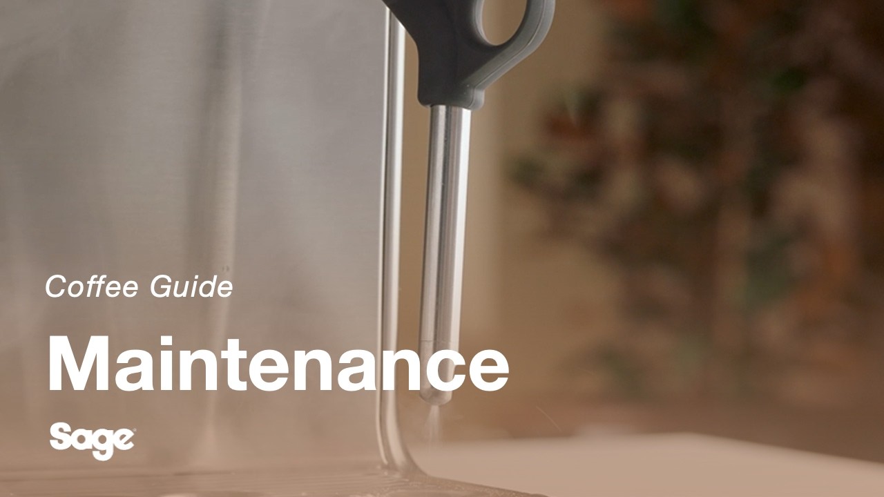 How to clean and unblock the steam wand