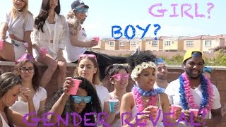 Baby Gender Reveal Party!