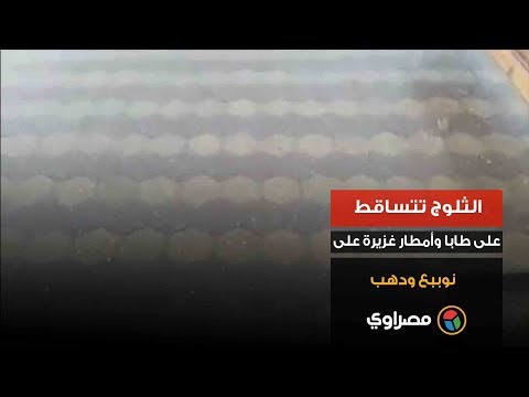 الثلوج تتساقط علي طابا وأمطار غزيرة علي نوببع ودهب