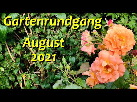 Gartenrundgang Ende August