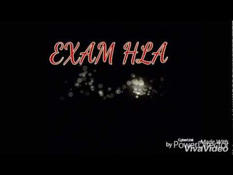 Mizo Exam Hla by Tza Ralte