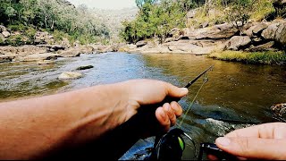 NEPEAN TROUT || Fishing BEFORE Work
