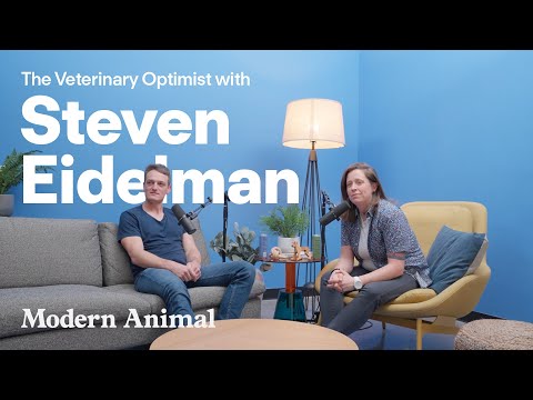 Modern Animal - In Conversation with Steven Eidelman - YouTube