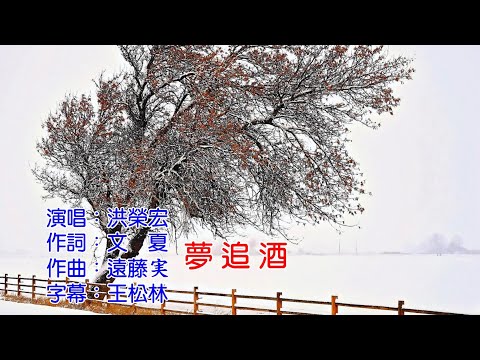 洪榮宏  夢追酒