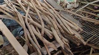 Download lagu MEMANFAATKAN LIMBAH RANTING KAYU JATI UNTUK PARTISI YG ESTETIK@ABK924 mp3 Download lagu MEMANFAATKAN LIMBAH RANTING KAYU JATI UNTUK PARTISI YG ESTETIK@ABK924 mp3