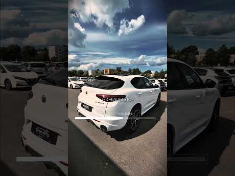 фото alfa romeo stelvio stelvio 0