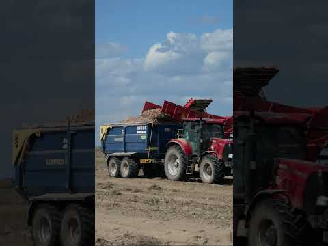 Відео