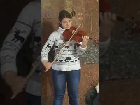 Queen - Who wants to live forever - violin cover